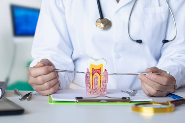 Best Emergency Tooth Extraction in Springfield, NE
